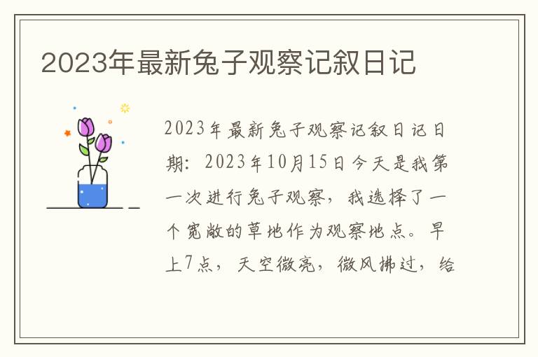 2023年最新兔子观察记叙日记